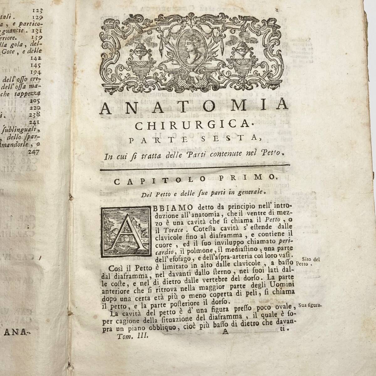 希少な医学書】1758年『ANATOMIA CHIRURGICA』第3巻 銅版画図版 希少な医学書】1758年『ANATOMIA CHIRURGICA』第3巻 銅版画図版