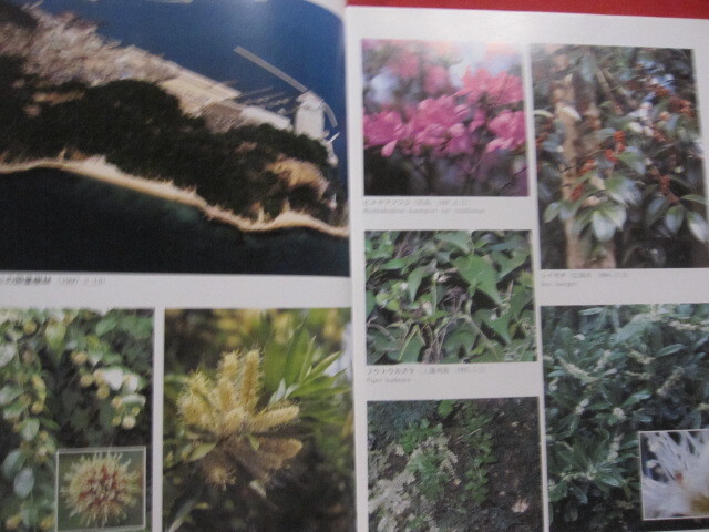 ☆広島県植物誌 広島大学理学部附属宮島自然植物実験所 比婆科学 ☆広島県植物誌 広島大学理学部附属宮島自然植物実験所 比婆科学