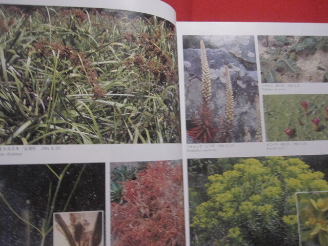 ☆広島県植物誌 広島大学理学部附属宮島自然植物実験所 比婆科学 ☆広島県植物誌 広島大学理学部附属宮島自然植物実験所 比婆科学