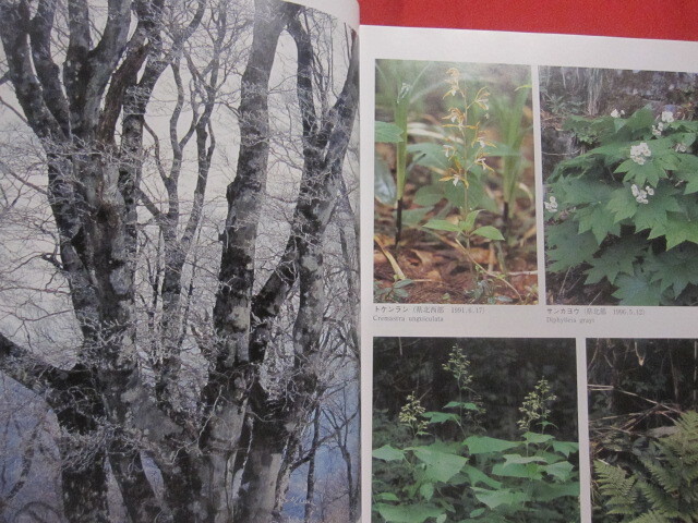 ☆広島県植物誌 広島大学理学部附属宮島自然植物実験所 比婆科学 ☆広島県植物誌 広島大学理学部附属宮島自然植物実験所 比婆科学