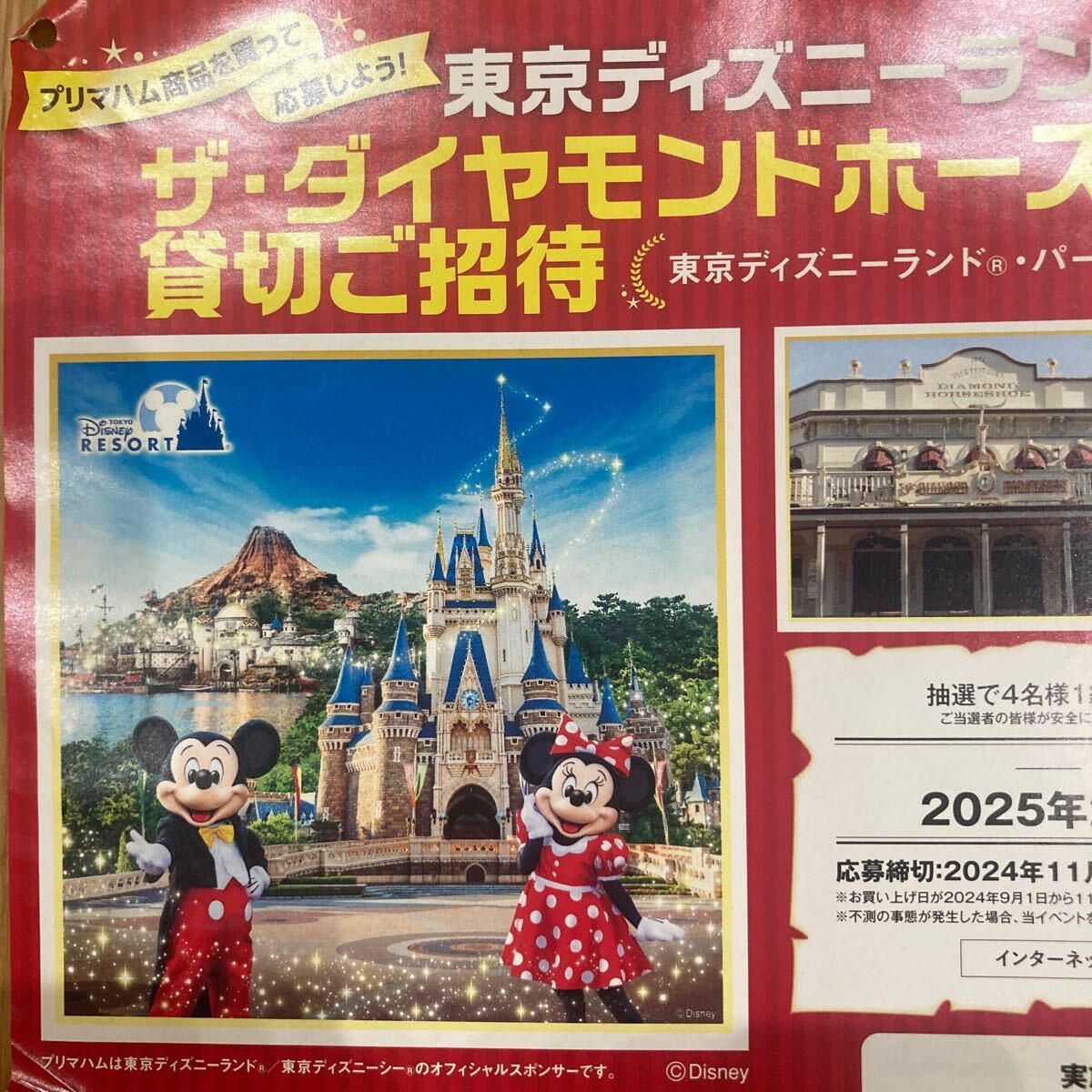 ネコポス込　★　懸賞応募 プリマハム東京ディズニーランドザ・ダイヤモンドホースシュー 貸切ご招待キャンペーン 高額レシート　応募券