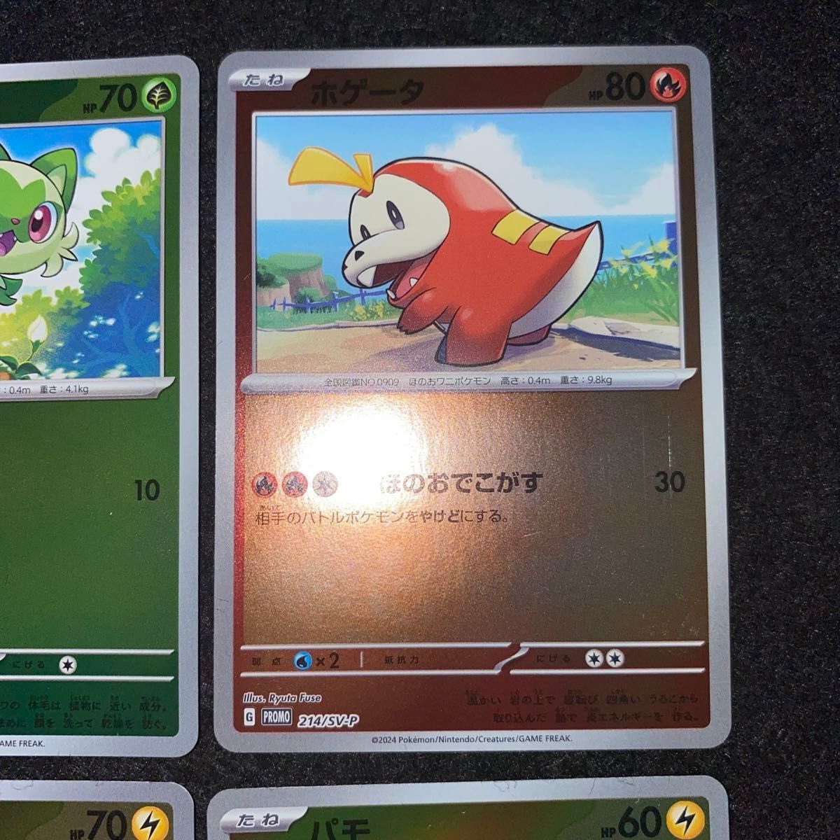 ポケモンカードゲーム ポケカの夏がキタ プロモカードGET ポケモンカードゲーム ポケカの夏がキタ プロモカードGET