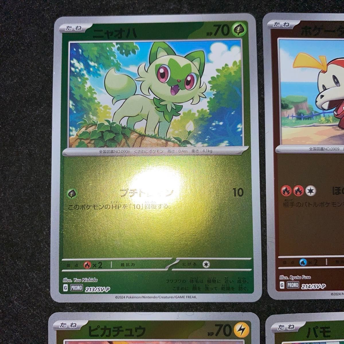 ポケモンカードゲーム ポケカの夏がキタ プロモカードGET ポケモンカードゲーム ポケカの夏がキタ プロモカードGET