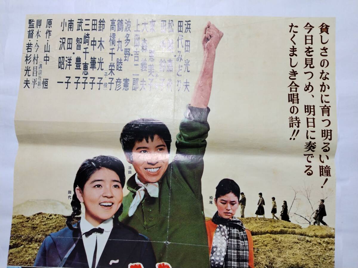 映画ポスター サムライの子 日活 若杉光男 山中恒 浜田光夫 田代