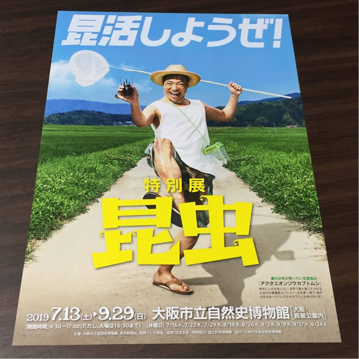 昆虫 チラシの値段と価格推移は 32件の売買情報を集計した昆虫 チラシの価格や価値の推移データを公開 昆虫 チラシの値段と価格推移は 32件の売買情報を集計した昆虫 チラシの価格や価値の推移データを公開