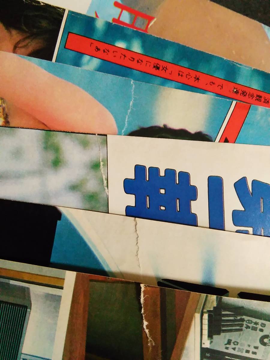 K32　週刊現代　1980年7/10　表紙：石川優子　水着　リー兄弟　送料込_画像9