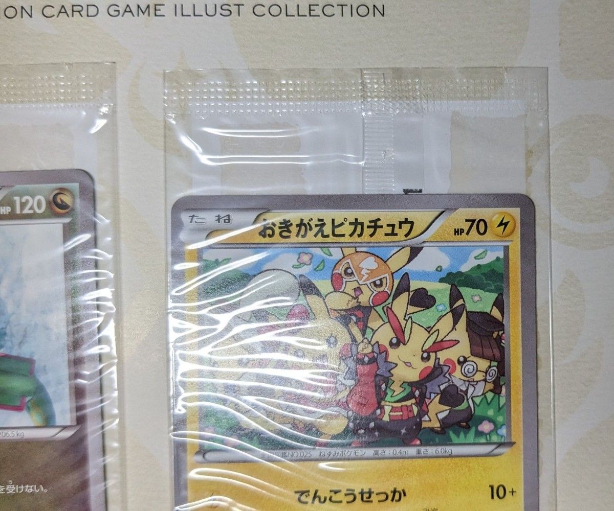 ポケモンカードゲームイラストコレクション ポケカ おきがえ ポケモンカードゲームイラストコレクション ポケカ おきがえ