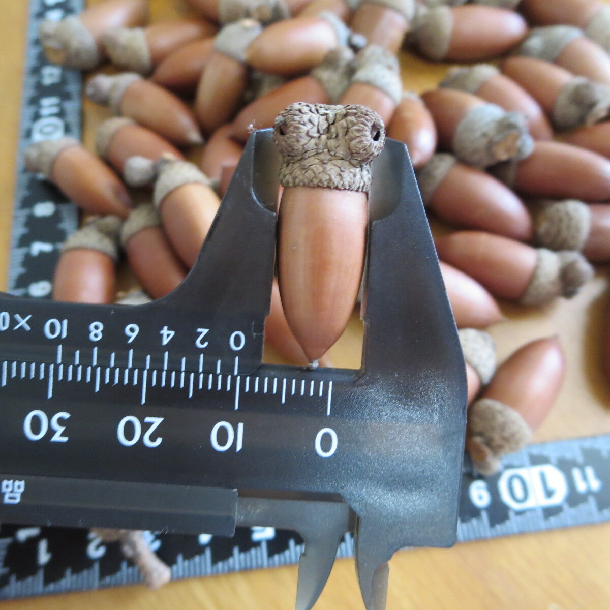 item_image_10