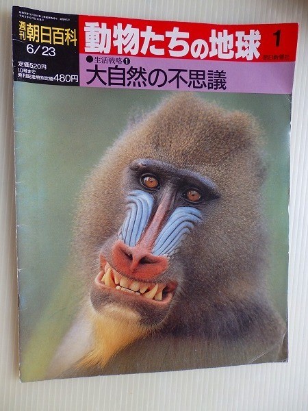 Yahoo!オークション - .動物たちの地球1/週刊朝日百科/1991-6 Yahoo!オークション - .動物たちの地球1/週刊朝日百科/1991-6