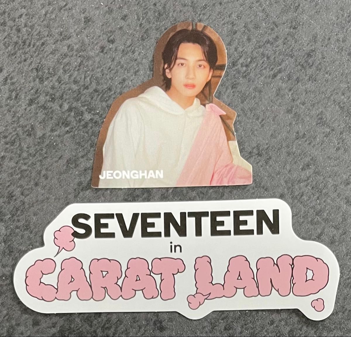 ジョンハン】2023 seventeen CARAT LAND ペンミ トレカ フォト ジョンハン】2023 seventeen CARAT LAND ペンミ トレカ フォト