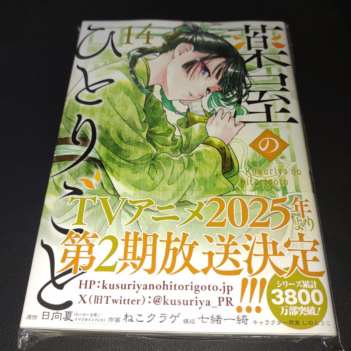 薬屋のひとりごと 14 (ビッグガンガンコミックス) 日向夏 薬屋のひとりごと 14 (ビッグガンガンコミックス) 日向夏