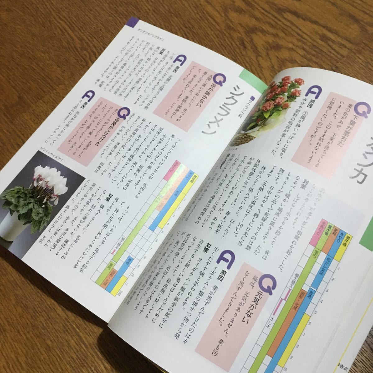 NHK hobby. gardening new gardening consultation ① ( no. 9.)* Japan broadcast publish association 