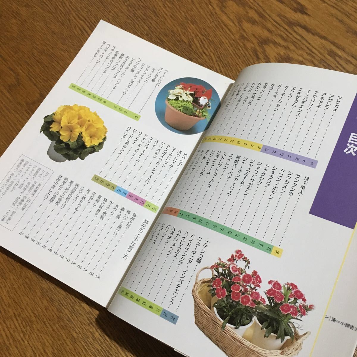 NHK hobby. gardening new gardening consultation ① ( no. 9.)* Japan broadcast publish association 