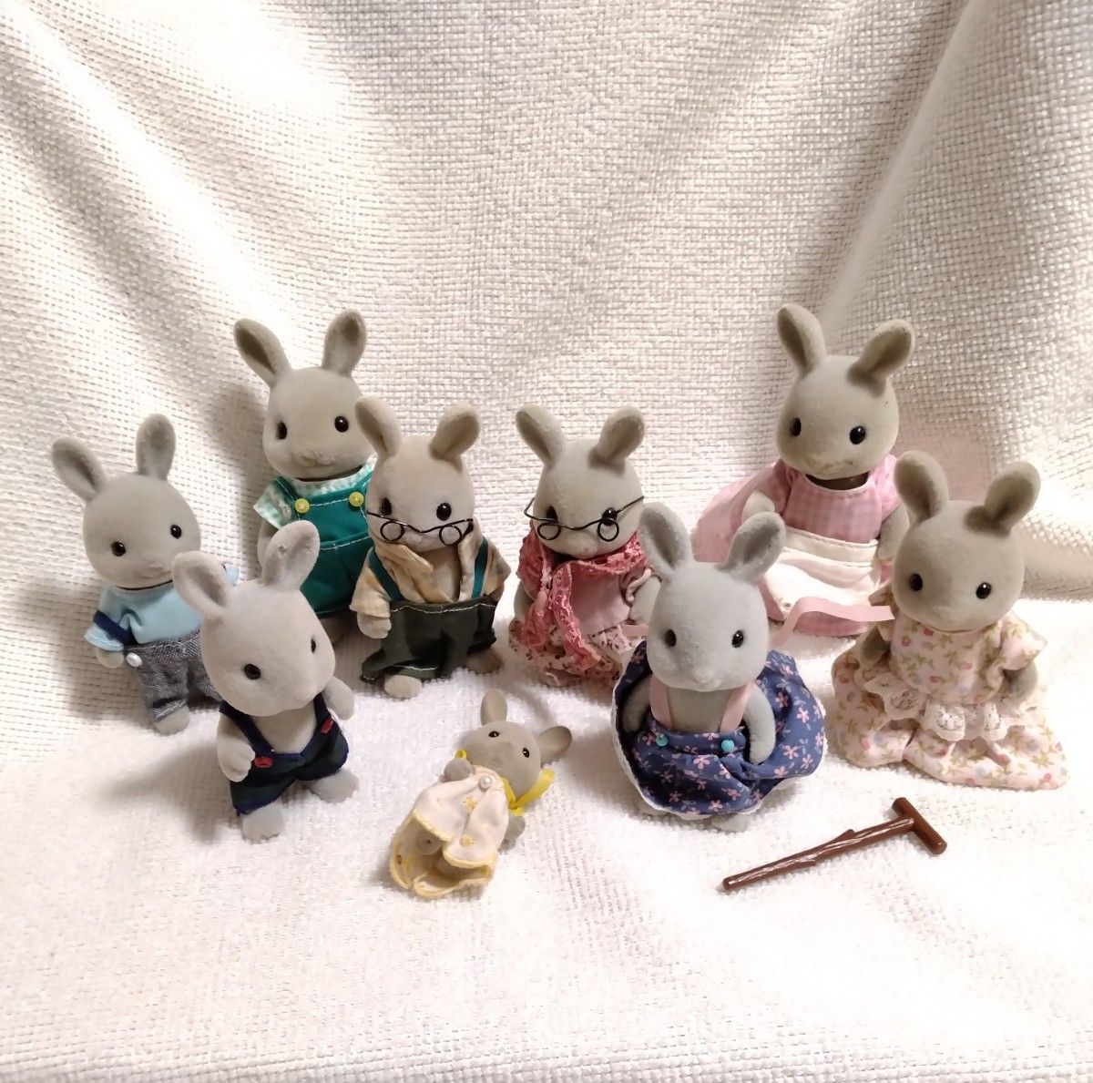 ウサギファミリー グレータイプ 灰色うさぎ お兄さん お姉さん ウサギファミリー グレータイプ 灰色うさぎ お兄さん お姉さん