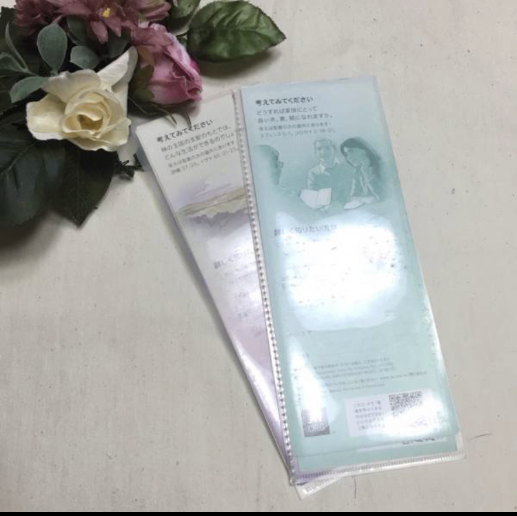 19* clear file pamphlet inserting 2 pieces set * pouch type pamphlet inserting extension for 