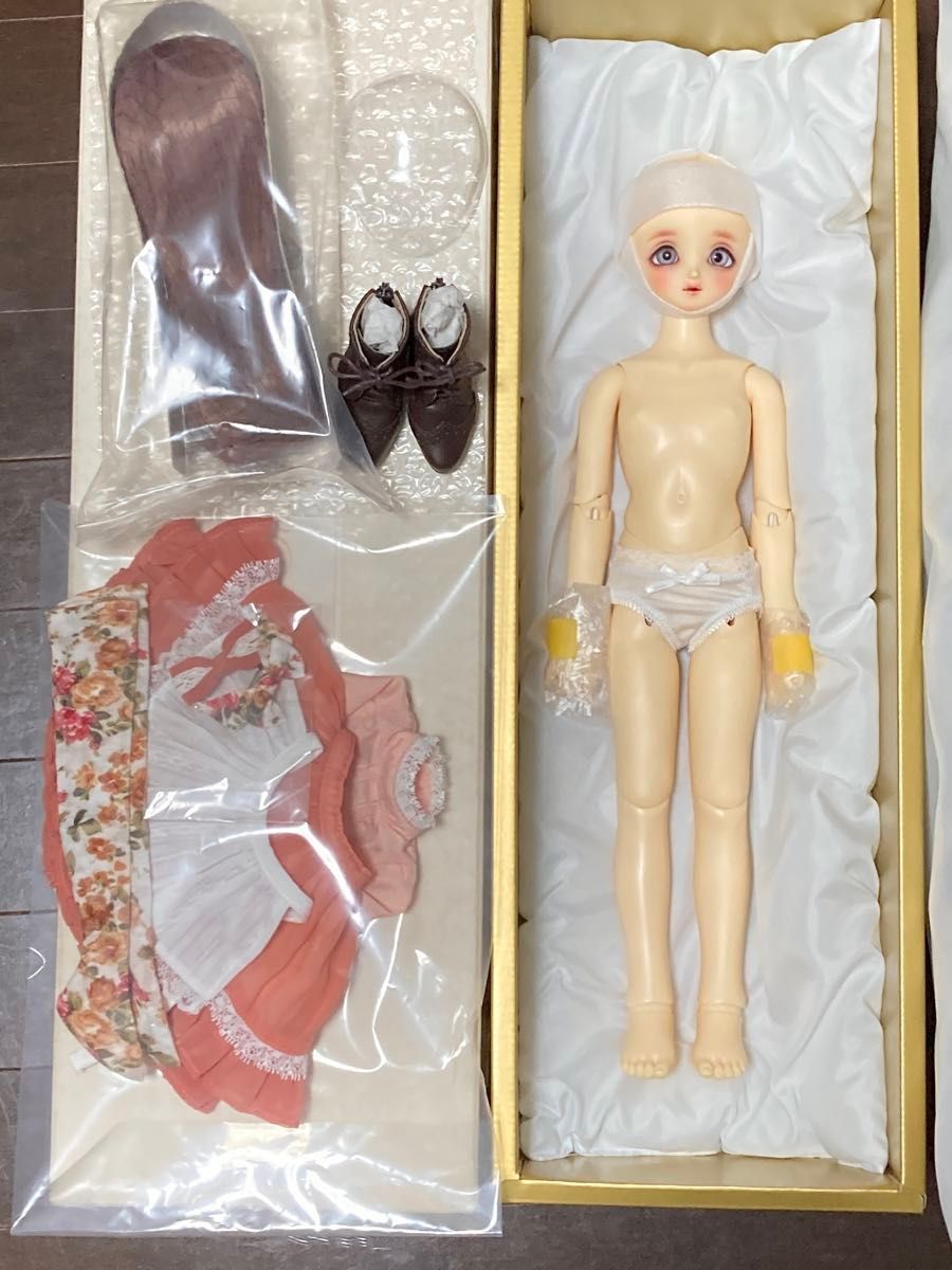 ボークス スーパードルフィー 2023年ワンオフモデル SDM女の子 ボークス スーパードルフィー 2023年ワンオフモデル SDM女の子