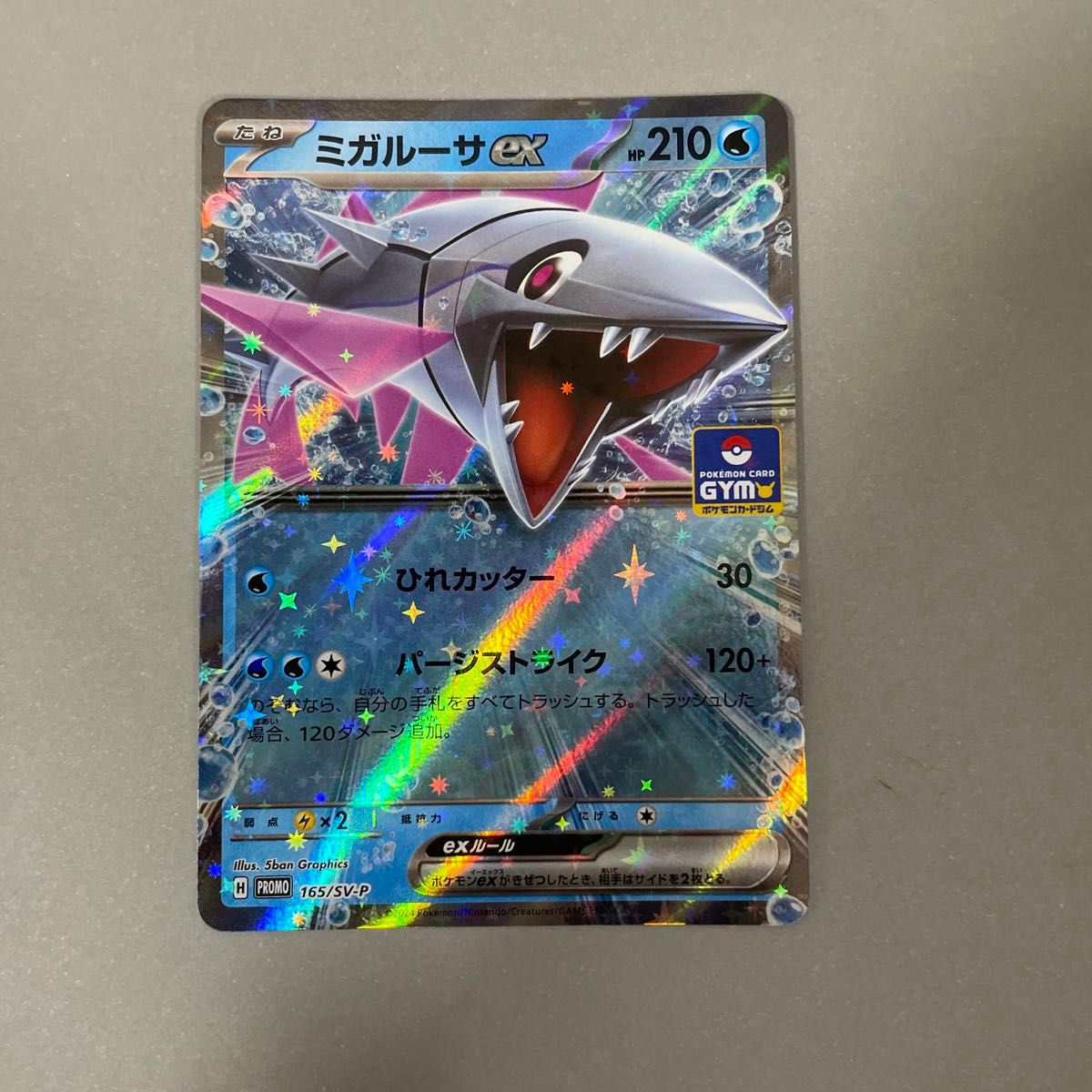 ミガルーサex プロモ ポケモンカード ジムバトル GYM|Yahoo ミガルーサex プロモ ポケモンカード ジムバトル GYM|Yahoo