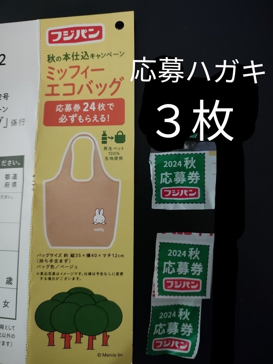 フジパン 応募券3枚 ミッフィー エコバッグ 秋のキャンペーン フジパン 応募券3枚 ミッフィー エコバッグ 秋のキャンペーン
