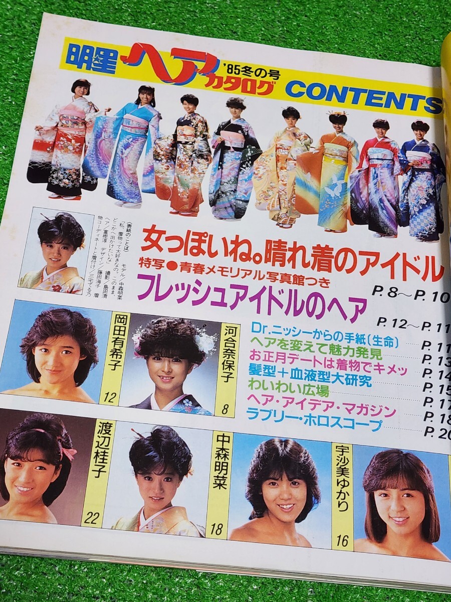 明星ヘアカタログ 1985年冬の号 中森明菜 伊藤麻衣子 河合奈保子 明星ヘアカタログ 1985年冬の号 中森明菜 伊藤麻衣子 河合奈保子