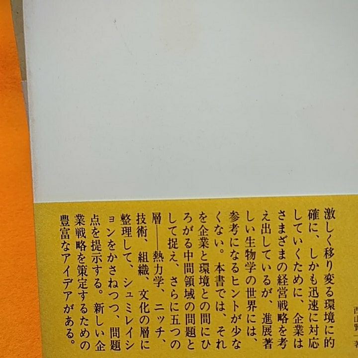 ねこまんま堂★まとめお得！ 企業のパラダイム変革他ください_画像5