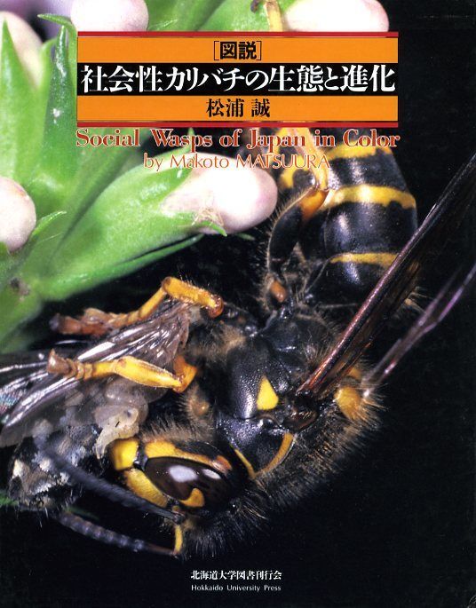 8160円 ねじればね (日本甲虫学会) 昆虫 1~125号揃い 8160円 ねじればね (日本甲虫学会) 昆虫 1~125号揃い