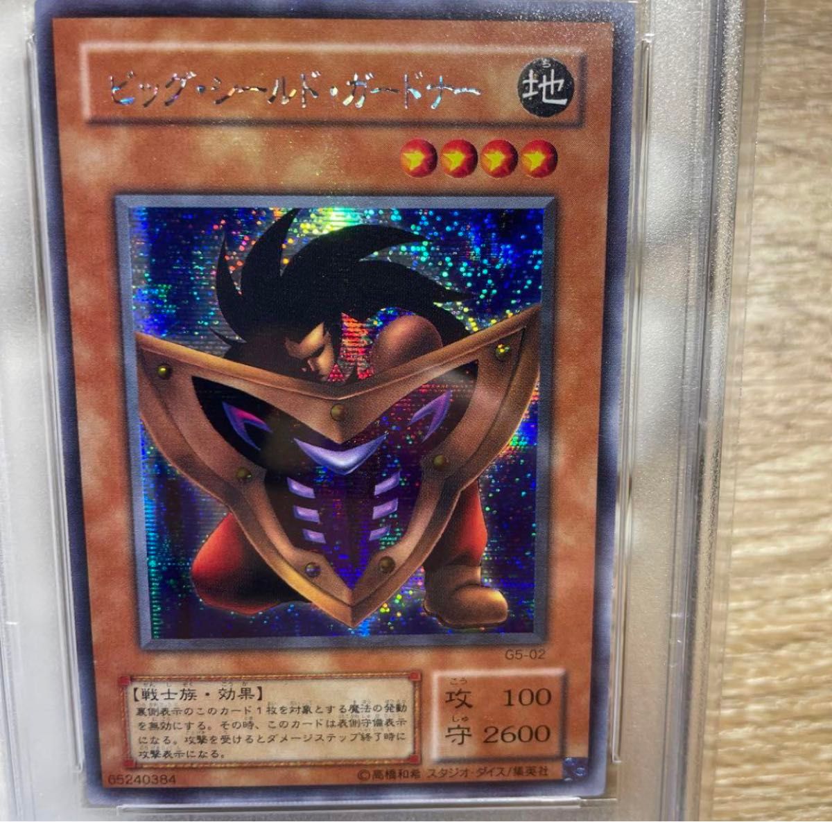 鑑定品 psa10 】 極美品 世界109枚 貫通シク ビッグシールド 鑑定品 psa10 】 極美品 世界109枚 貫通シク ビッグシールド