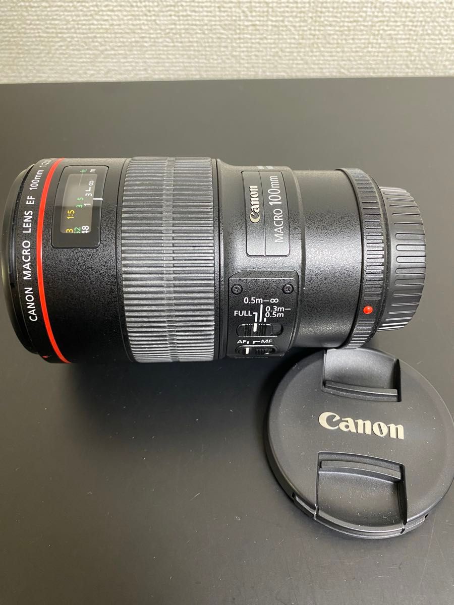 Canon (キヤノン) EF100mm F2 8Lマクロ IS USM美品 防湿庫保管 Canon (キヤノン) EF100mm F2 8Lマクロ IS USM美品 防湿庫保管