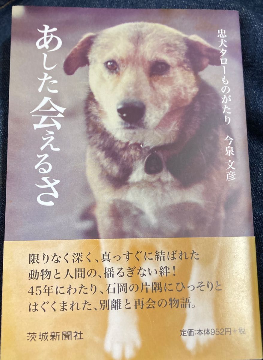 あした会えるさ 忠犬タローものがたり 今泉文彦/著|Yahoo あした会えるさ 忠犬タローものがたり 今泉文彦/著|Yahoo