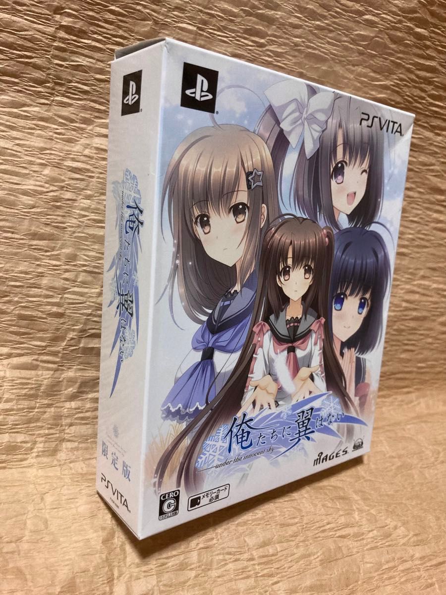 俺たちに翼はない 限定版 テレビゲーム 俺たちに翼はない 限定版 テレビゲーム