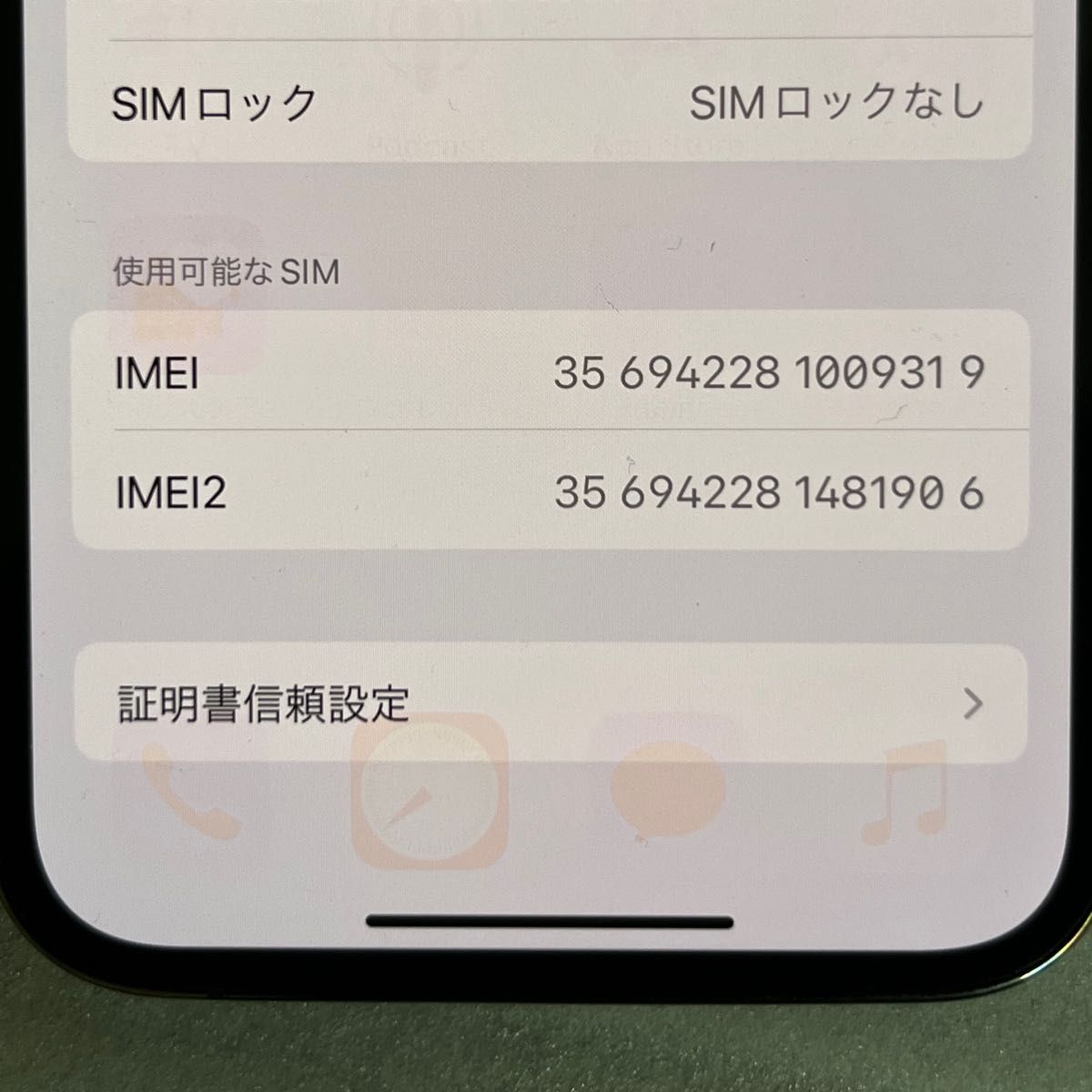 Apple iPhone 13 Pro 128GB 元デモ機 SIMフリー 画面焼け・傷 Apple iPhone 13 Pro 128GB 元デモ機 SIMフリー 画面焼け・傷