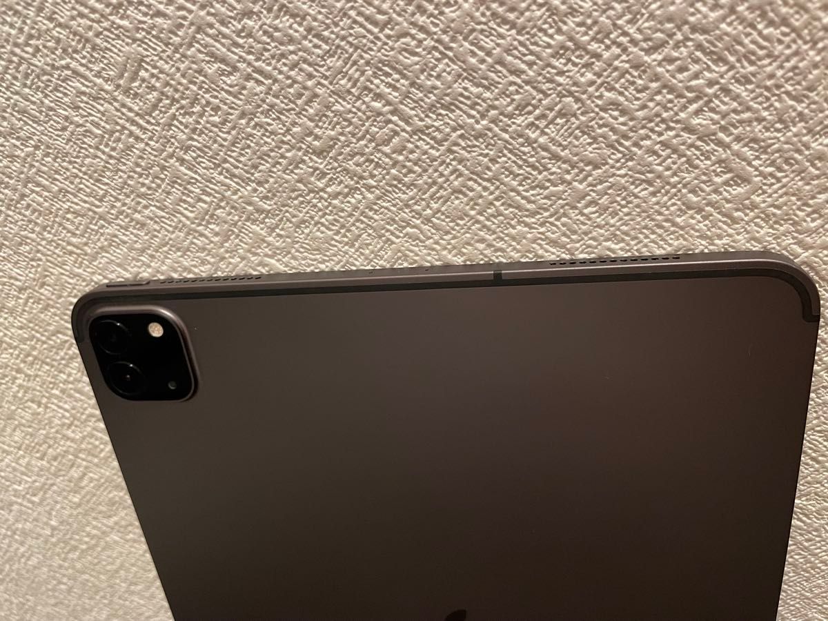 iPad Pro 第二世代 11インチ Wi-Fi+Cellular 256GB スペース iPad Pro 第二世代 11インチ Wi-Fi+Cellular 256GB スペース