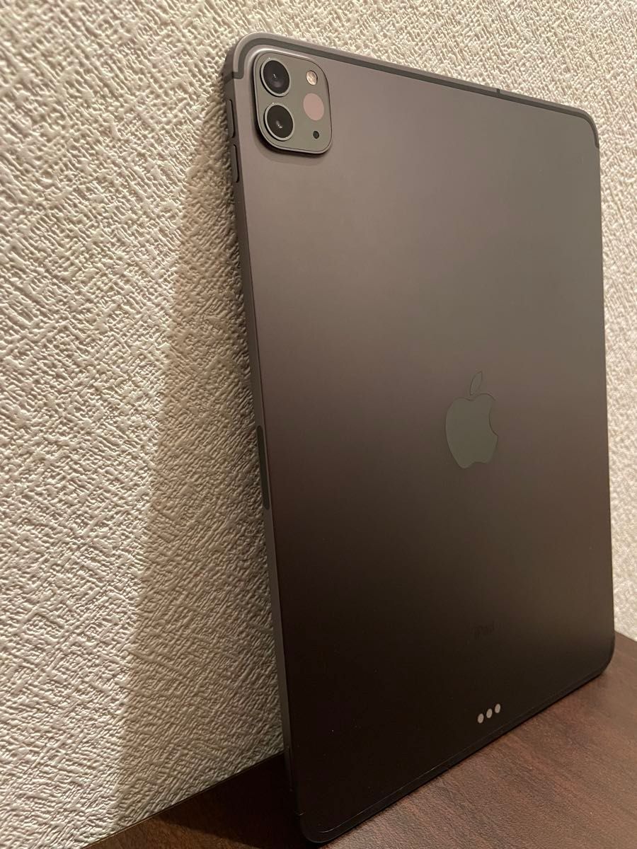 iPad Pro 第二世代 11インチ Wi-Fi+Cellular 256GB スペース iPad Pro 第二世代 11インチ Wi-Fi+Cellular 256GB スペース