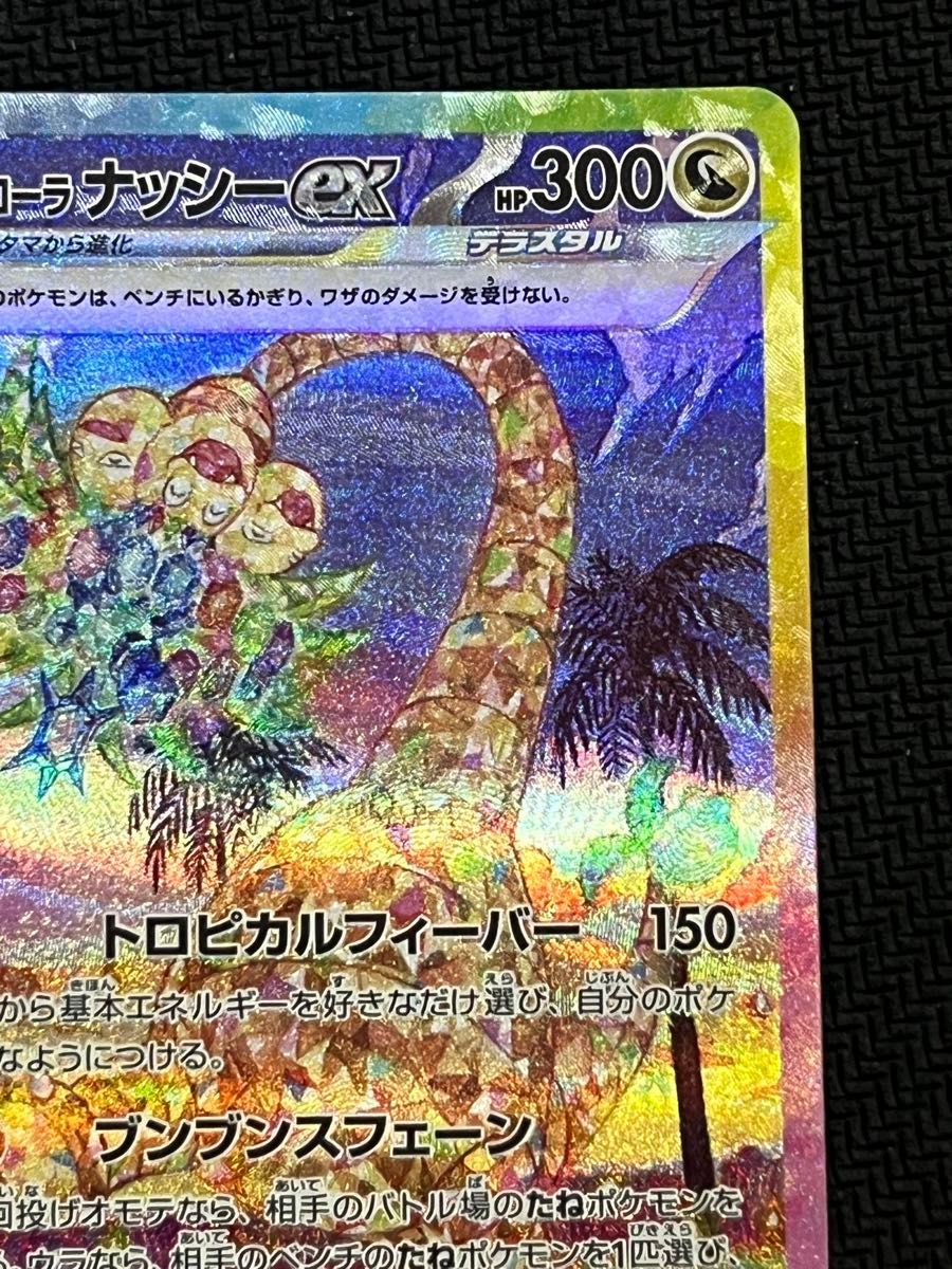 アローラナッシーex sar ポケモンカードゲーム 楽園ドラゴーナ アローラナッシーex sar ポケモンカードゲーム 楽園ドラゴーナ