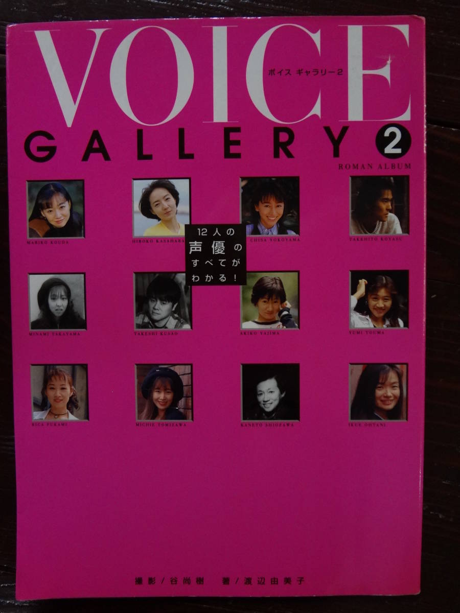 VOICE GALLERY 2