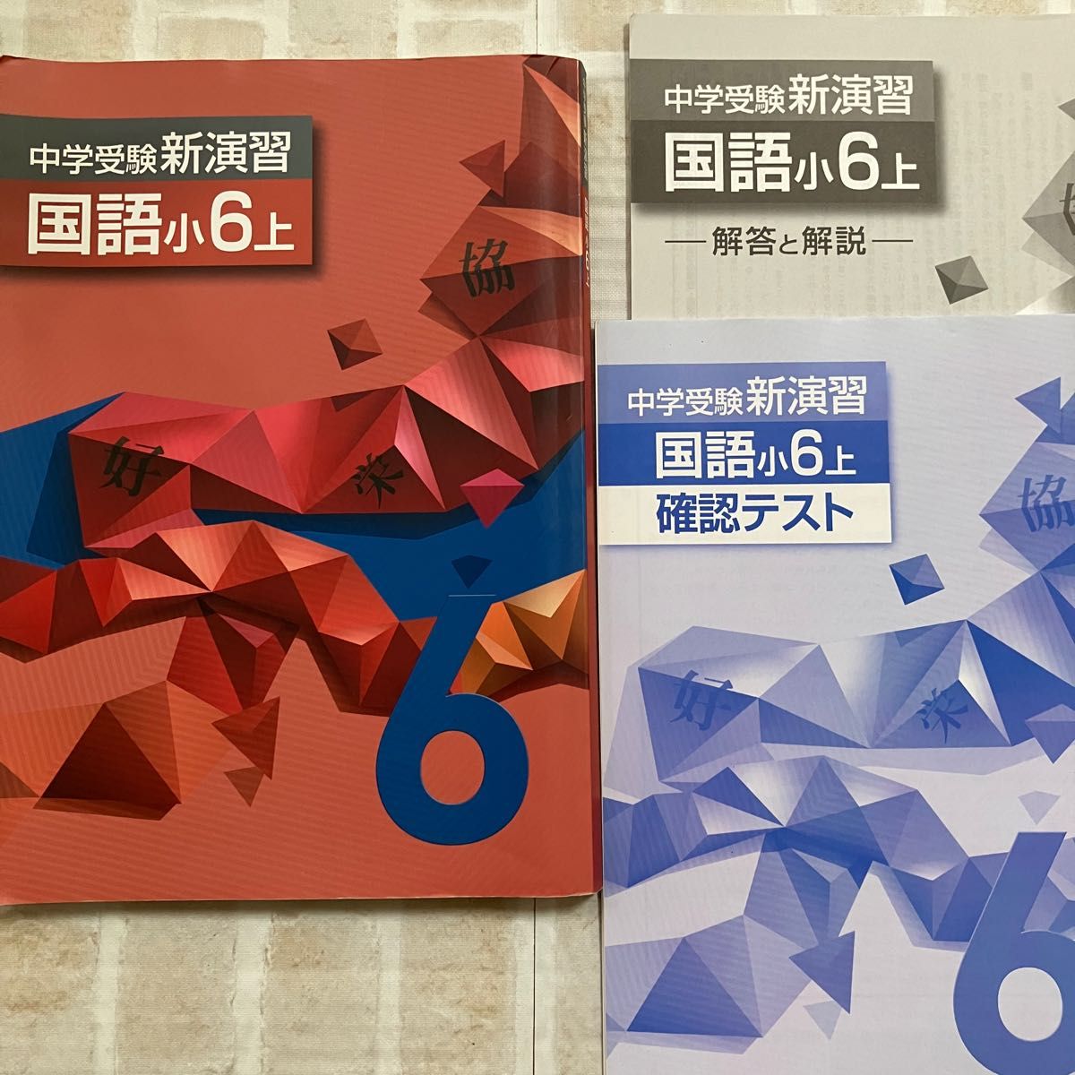 中学受験新演習 国語小6上 確認テスト 解答付き 塾専用教材 問題 中学受験新演習 国語小6上 確認テスト 解答付き 塾専用教材 問題