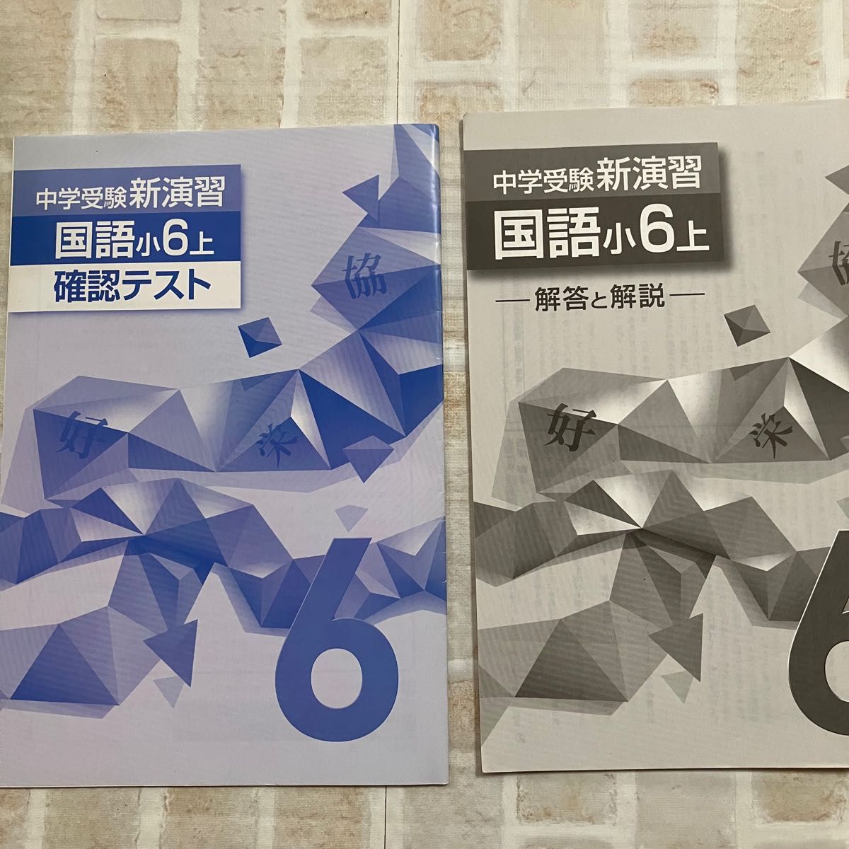 中学受験新演習 国語小6上 確認テスト 解答付き 塾専用教材 問題 中学受験新演習 国語小6上 確認テスト 解答付き 塾専用教材 問題
