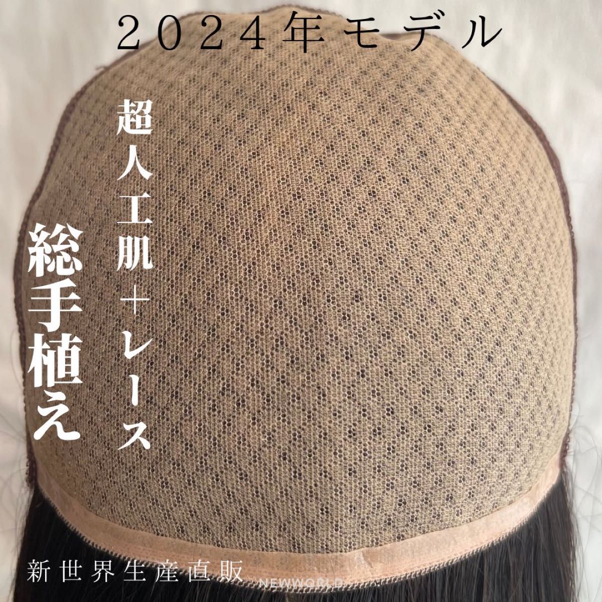 2024新世界レミー100% ウィッグ フルウィッグ シルクスキン 医療 2024新世界レミー100% ウィッグ フルウィッグ シルクスキン 医療