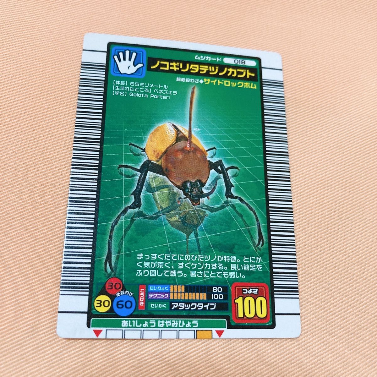 昆虫王者ムシキング カード5枚セット|Yahoo!フリマ(旧PayPay 昆虫王者ムシキング カード5枚セット|Yahoo!フリマ(旧PayPay