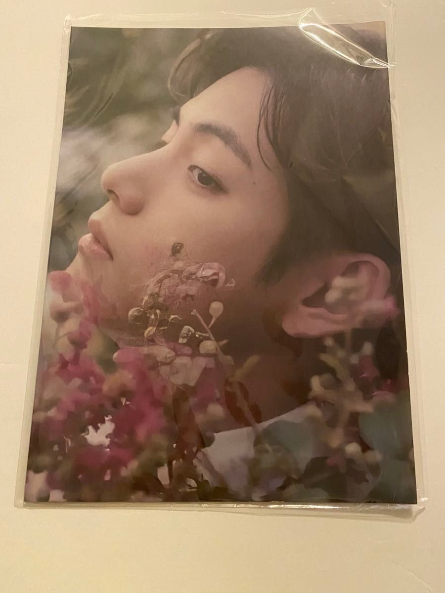 BTS V テテ フォトブック 写真集 A4サイズ マスター 韓国カフェ BTS V テテ フォトブック 写真集 A4サイズ マスター 韓国カフェ