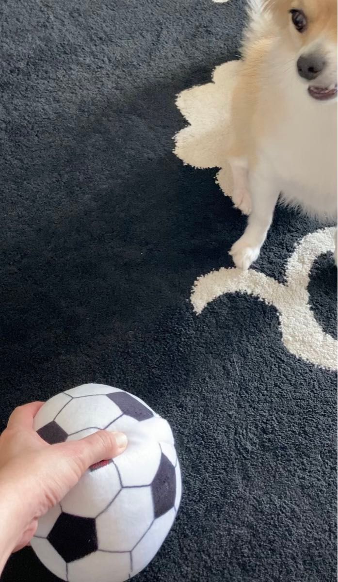 ☆おまけ付☆ ぴょんぴょん転がる ジャンピングボール サッカーボール 犬 ひとり遊び ペットトイ