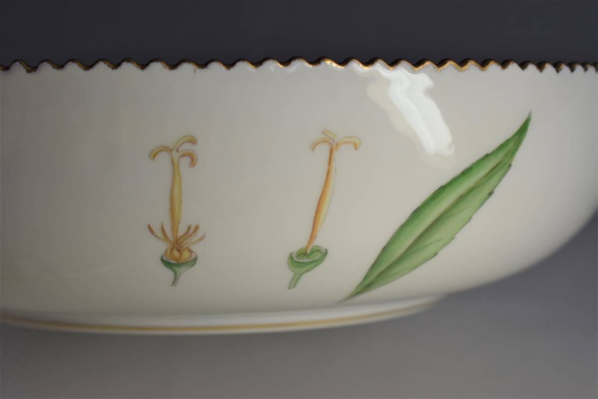 Campanula latifolia　salad bowl　カンパニュラ hand painted　植物図鑑_画像8