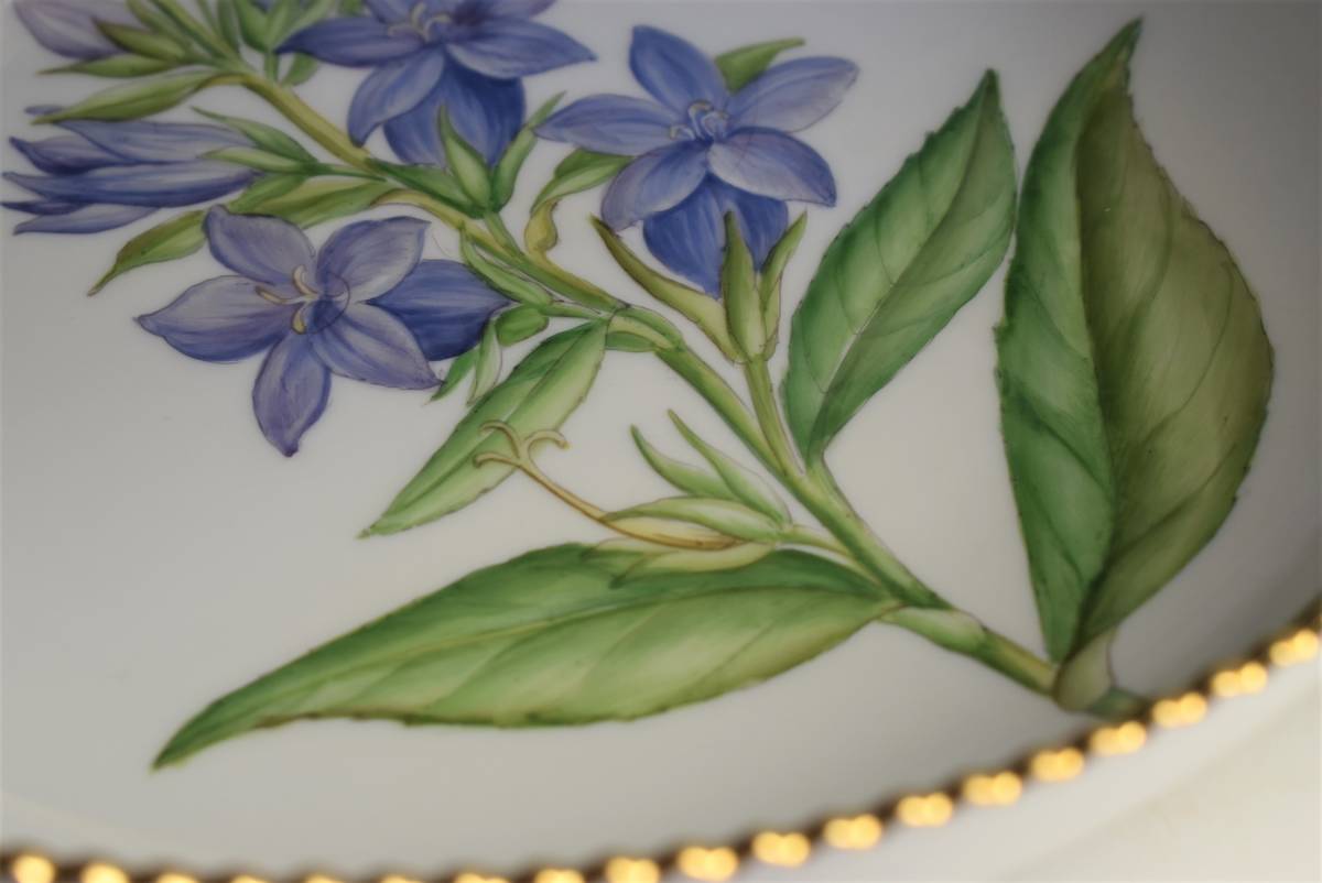 Campanula latifolia　salad bowl　カンパニュラ hand painted　植物図鑑_画像7