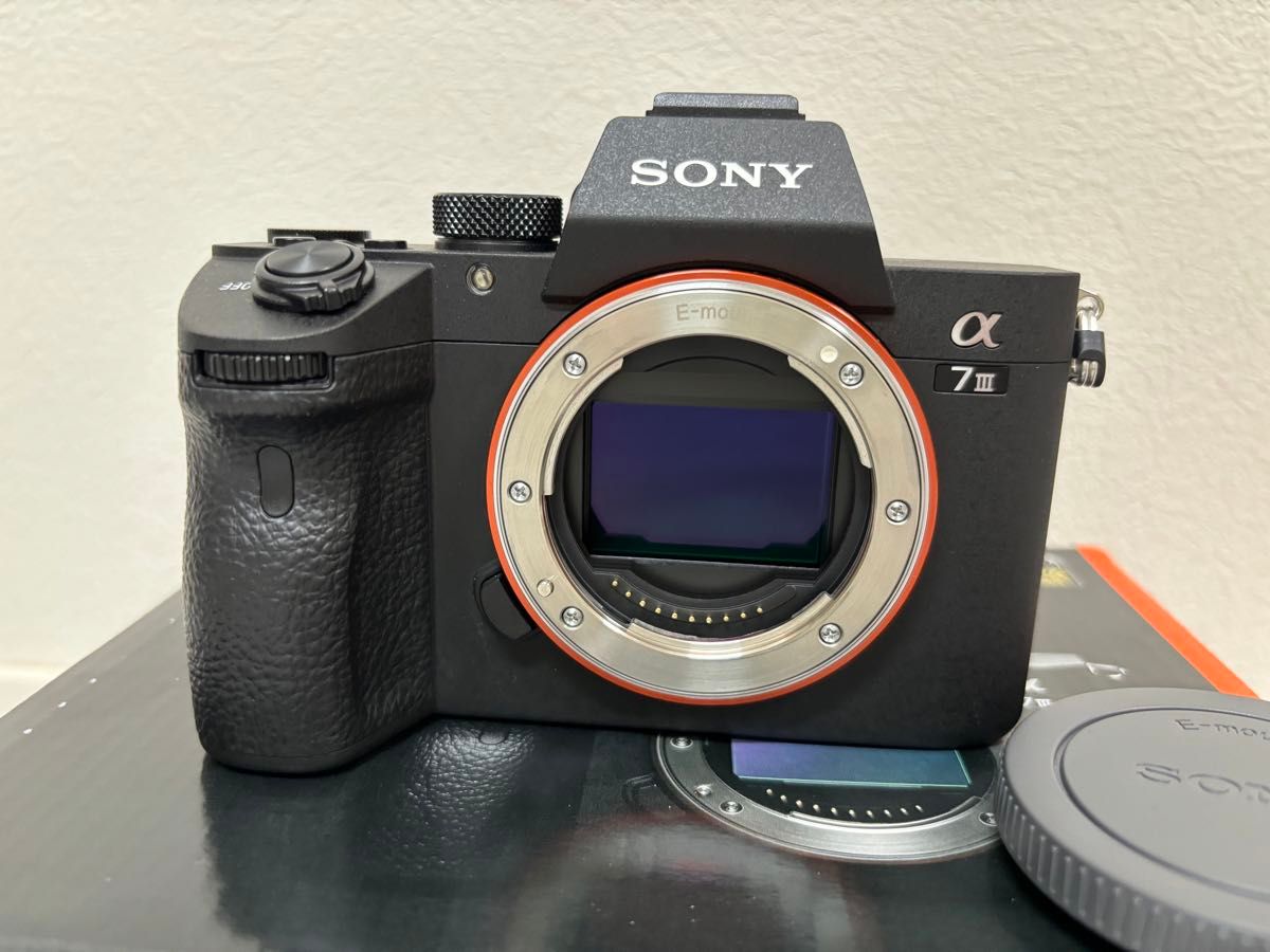 最終値下 超美品 ショット数少ない SONY α7Ⅲ ILCE-7M3 ボディ 最終値下 超美品 ショット数少ない SONY α7Ⅲ ILCE-7M3 ボディ