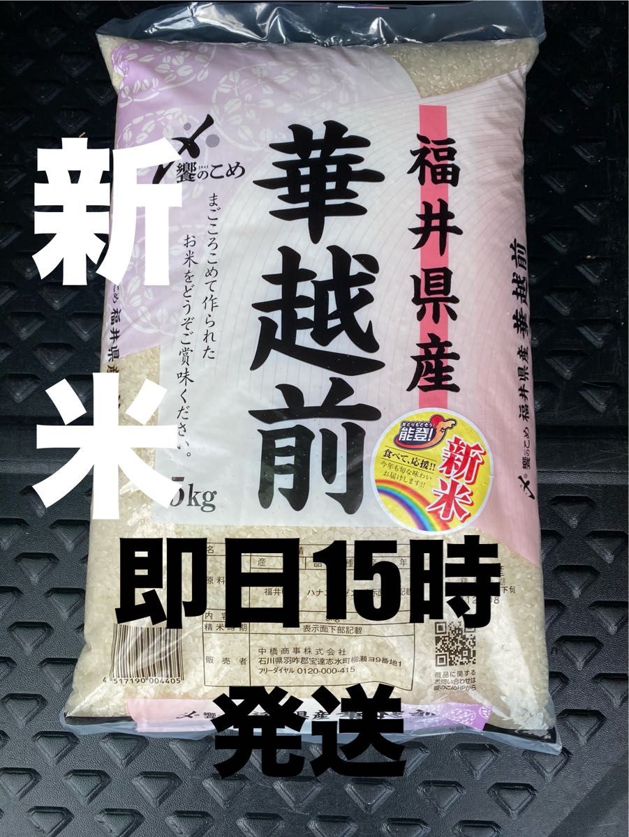 新米5キロ 令和6年産 8月下旬精米 お米5キロ 華越前5kg 米 15時 新米5キロ 令和6年産 8月下旬精米 お米5キロ 華越前5kg 米 15時
