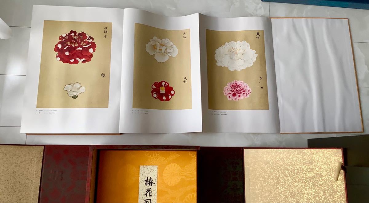 ヤフオク! - 値下げ!希少!宮内庁蔵本 椿花図譜 昭和44年 限定150...