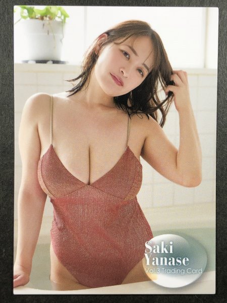 .... Sard RG65 Vol.3 swimsuit bikini model trading card trading card .. pie 