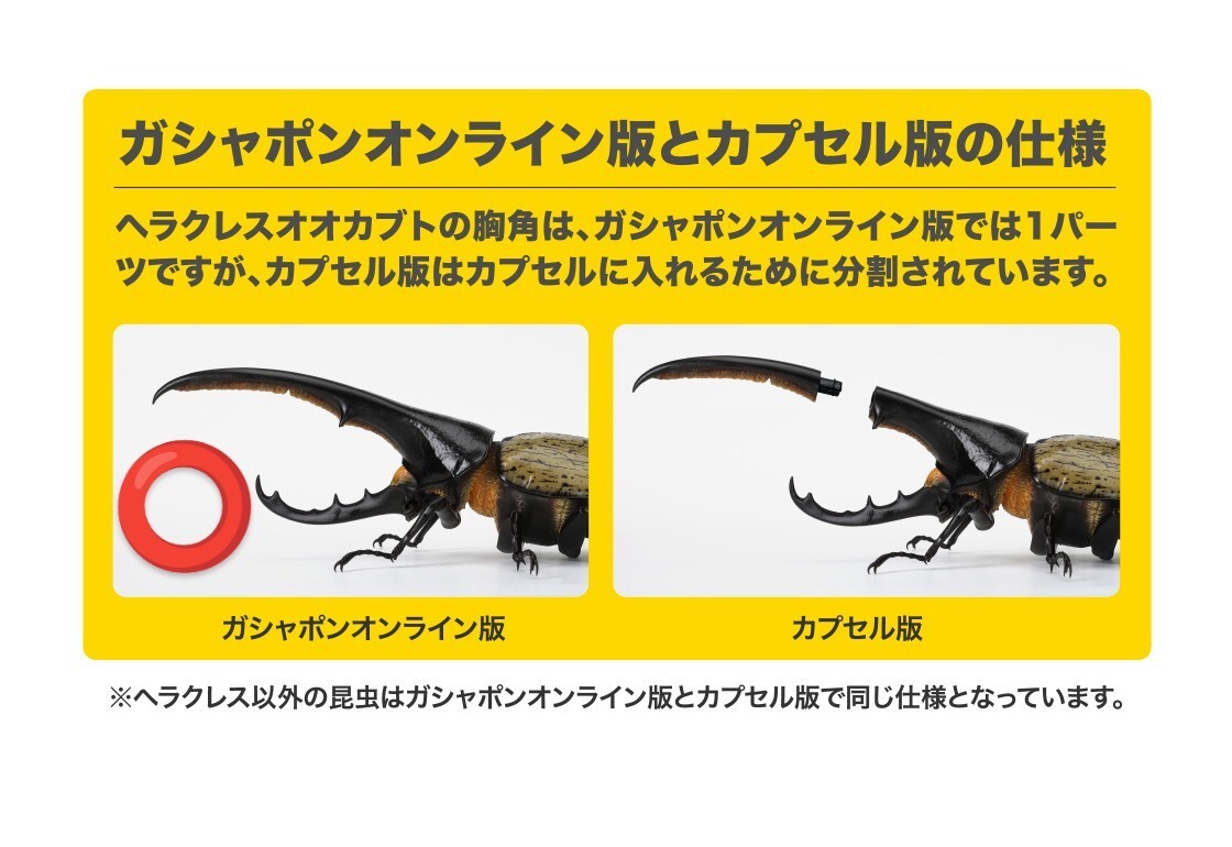 いきもの大図鑑かぶとむし07 ヘラクレス リッキー改 ブルー いきもの大図鑑かぶとむし07 ヘラクレス リッキー改 ブルー