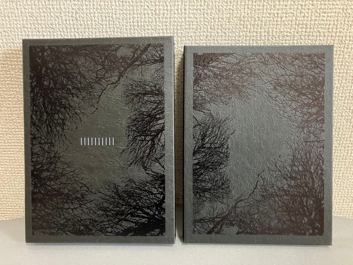 the GazettE 10TH ANNIVERSARY 初回限定 DVD THE DECADE LIVE AT the GazettE 10TH ANNIVERSARY 初回限定 DVD THE DECADE LIVE AT