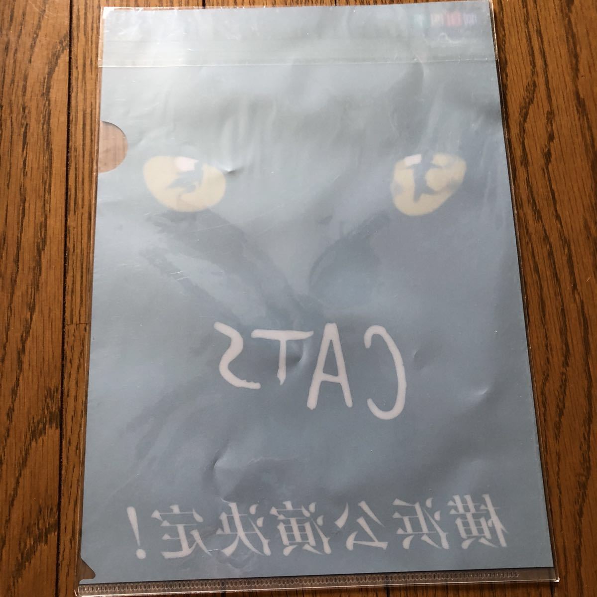 * rare not for sale * Shiki Theatre Company CATS Yokohama .. decision! clear file 