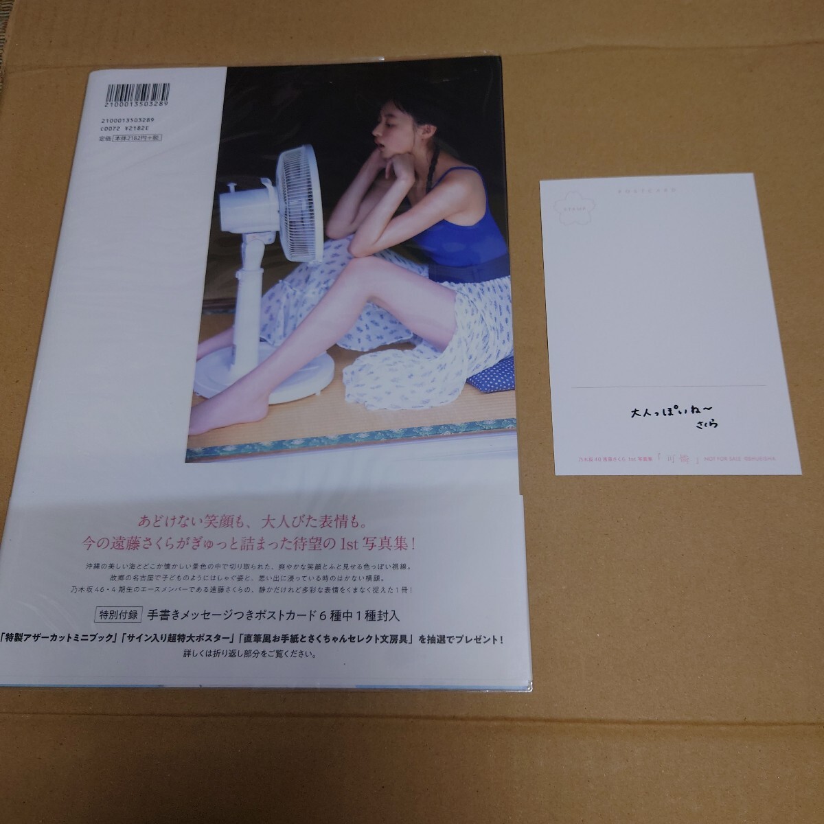 可憐 乃木坂46遠藤さくら1st写真集 須江隆治/撮影 遠藤 可憐 乃木坂46遠藤さくら1st写真集 須江隆治/撮影 遠藤
